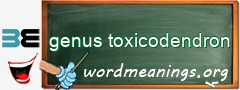 WordMeaning blackboard for genus toxicodendron